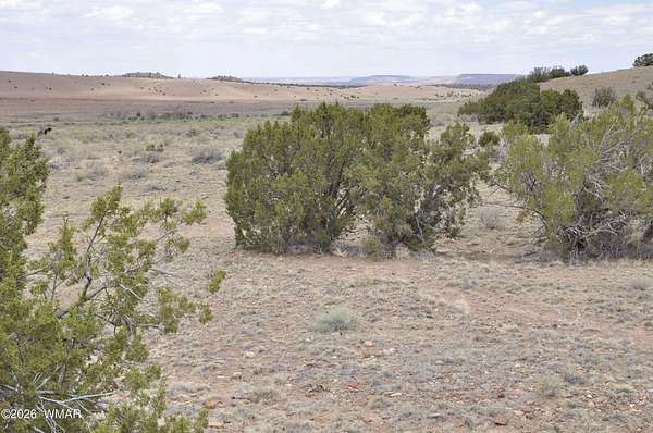 11 Acres of Land for Sale in Concho, Arizona