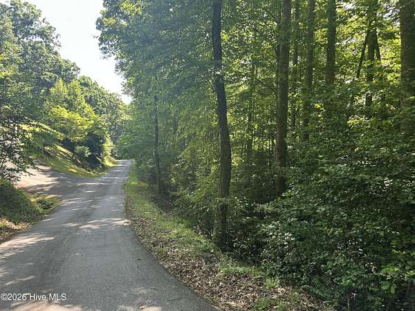 1 Acre of Residential Land for Sale in Franklin, North Carolina