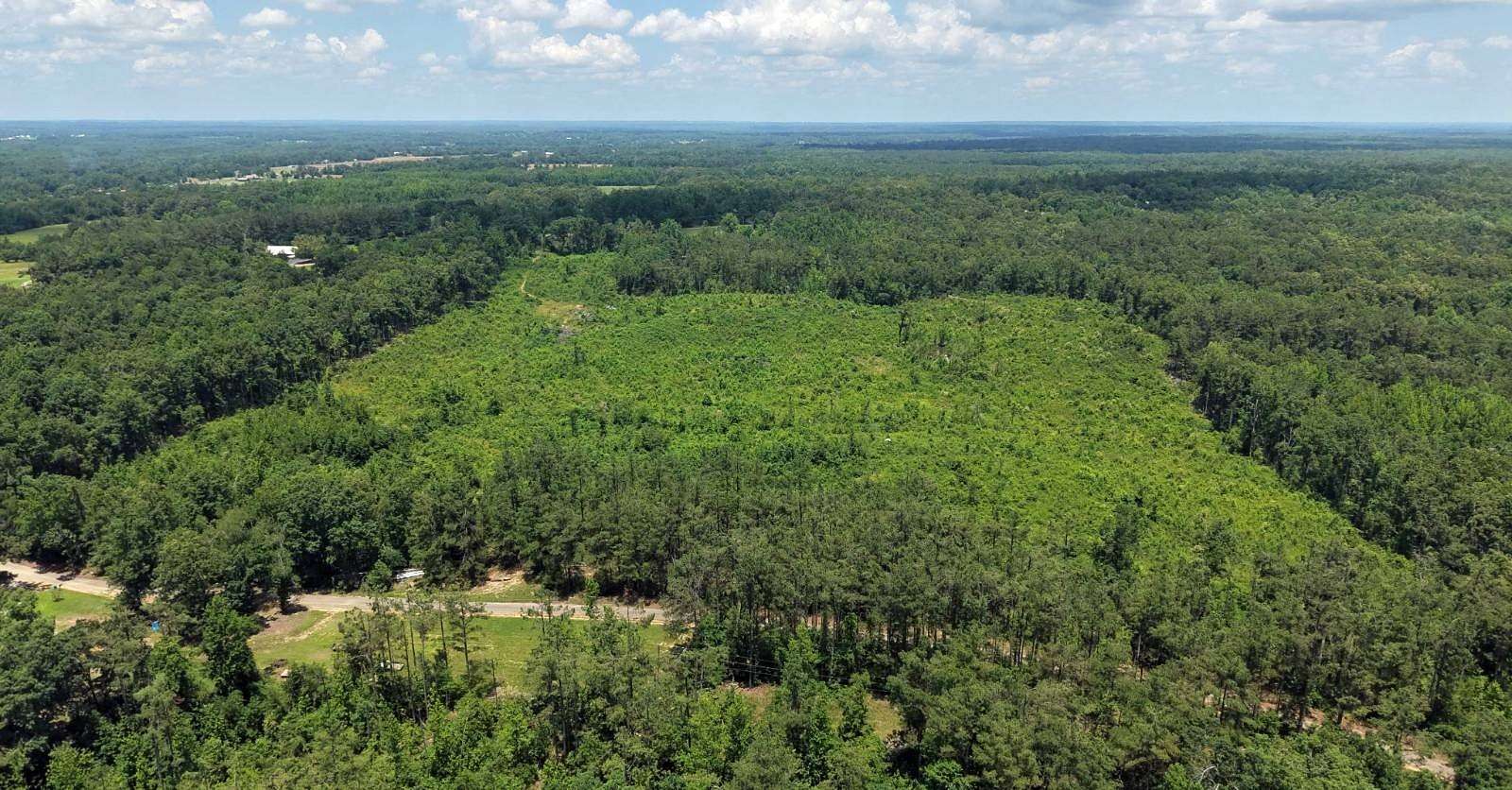 39.8 Acres of Agricultural Land for Sale in Shiloh, Tennessee