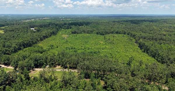 39.8 Acres of Agricultural Land for Sale in Shiloh, Tennessee