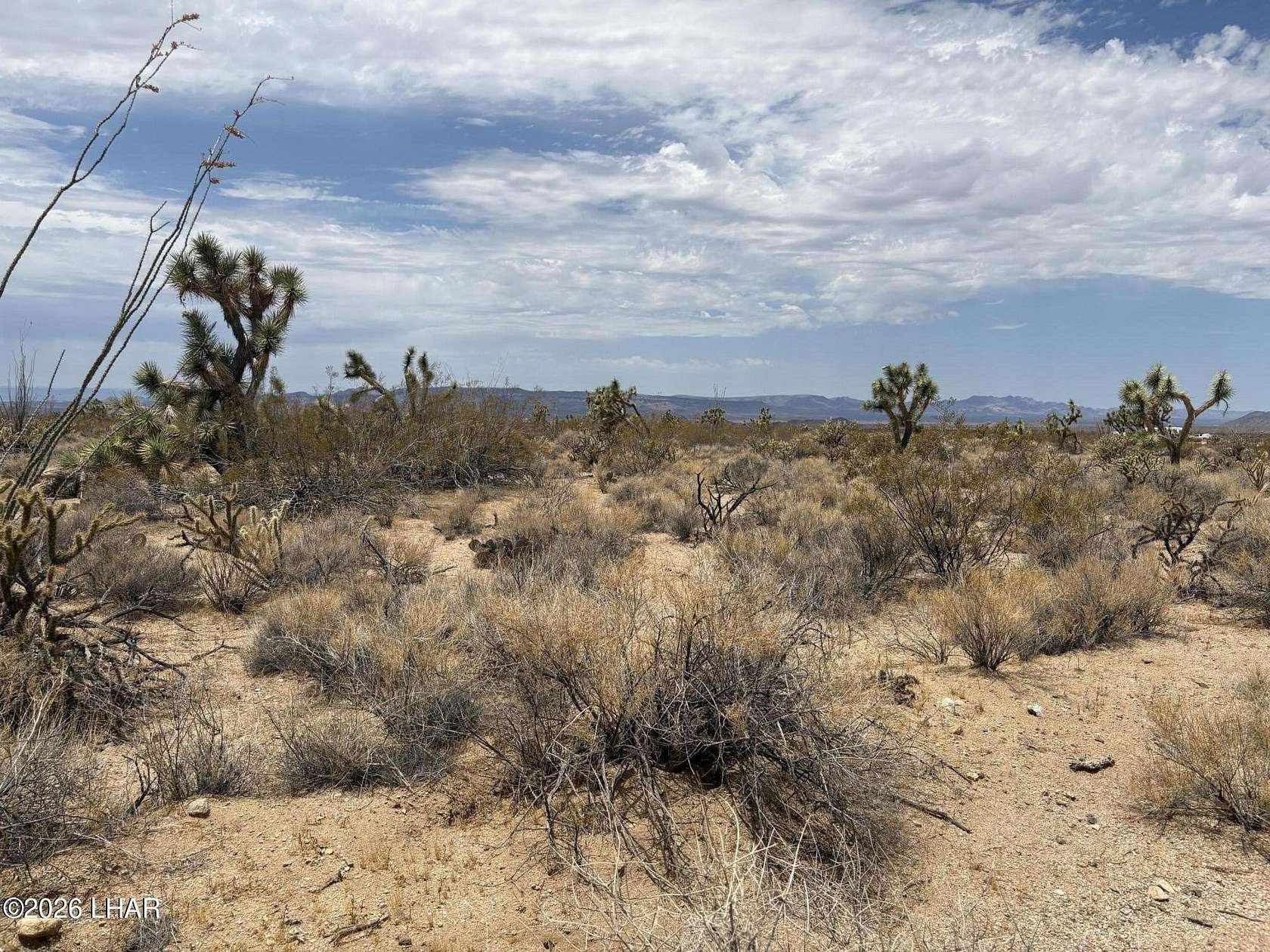 1.24 Acres of Mixed-Use Land for Sale in Yucca, Arizona