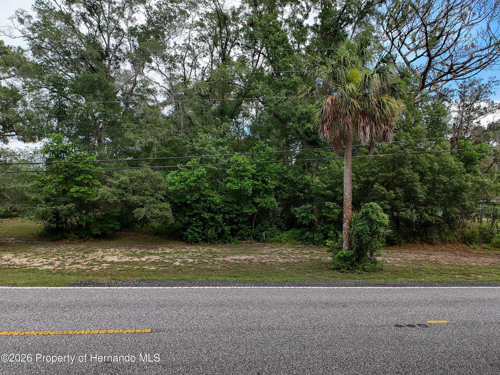 1.37 Acres of Residential Land for Sale in Brooksville, Florida