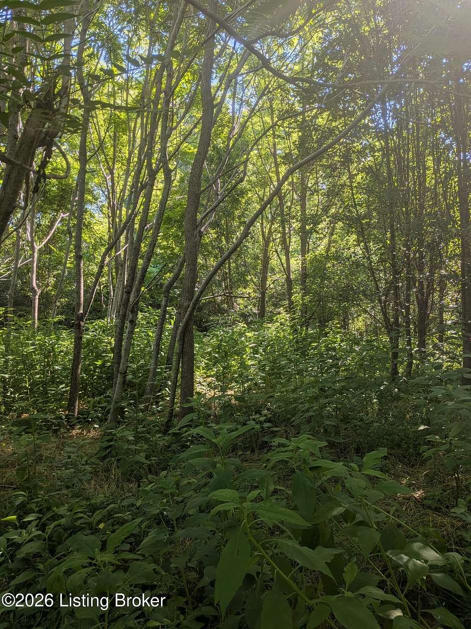 12 Acres of Land for Sale in Shepherdsville, Kentucky