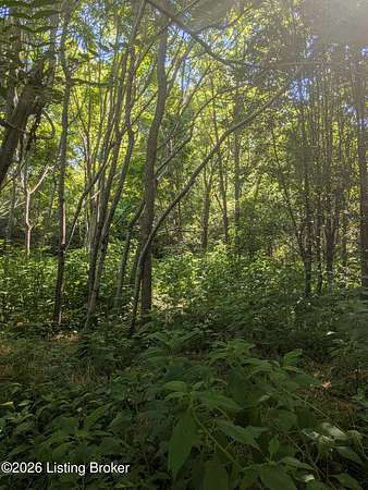 12 Acres of Land for Sale in Shepherdsville, Kentucky