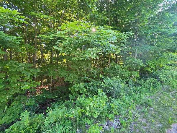 0.95 Acres of Residential Land for Sale in Boyne City, Michigan