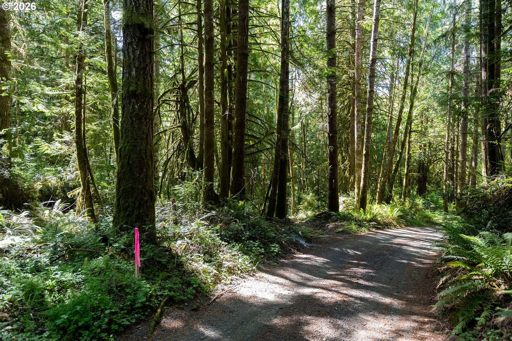 10 Acres of Residential Land for Sale in Shelton, Washington