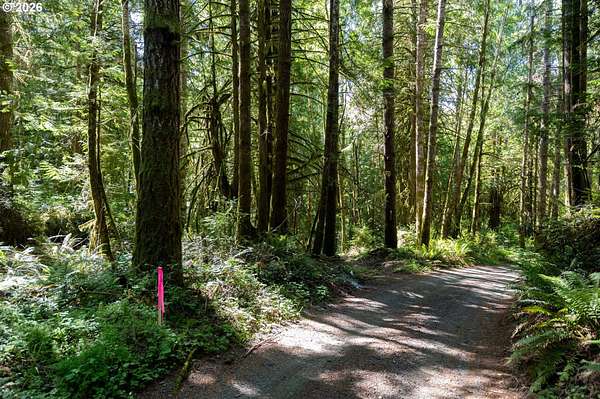 10 Acres of Residential Land for Sale in Shelton, Washington
