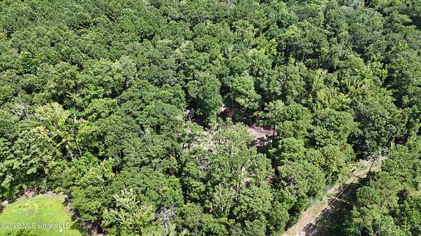 2.65 Acres of Residential Land for Sale in Vancleave, Mississippi