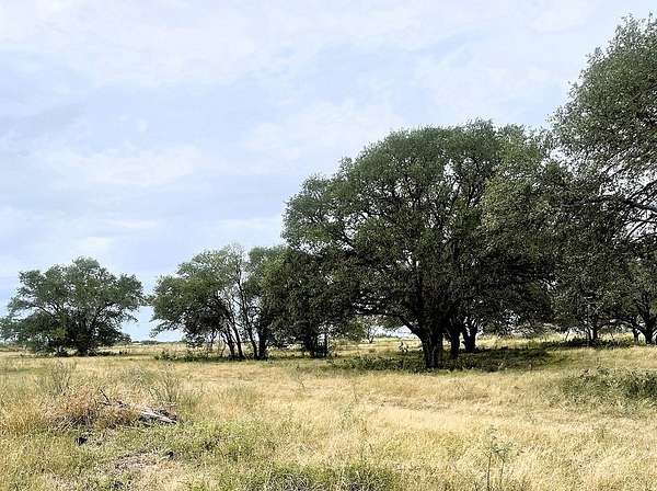 15.6 Acres of Land for Sale in Hallettsville, Texas