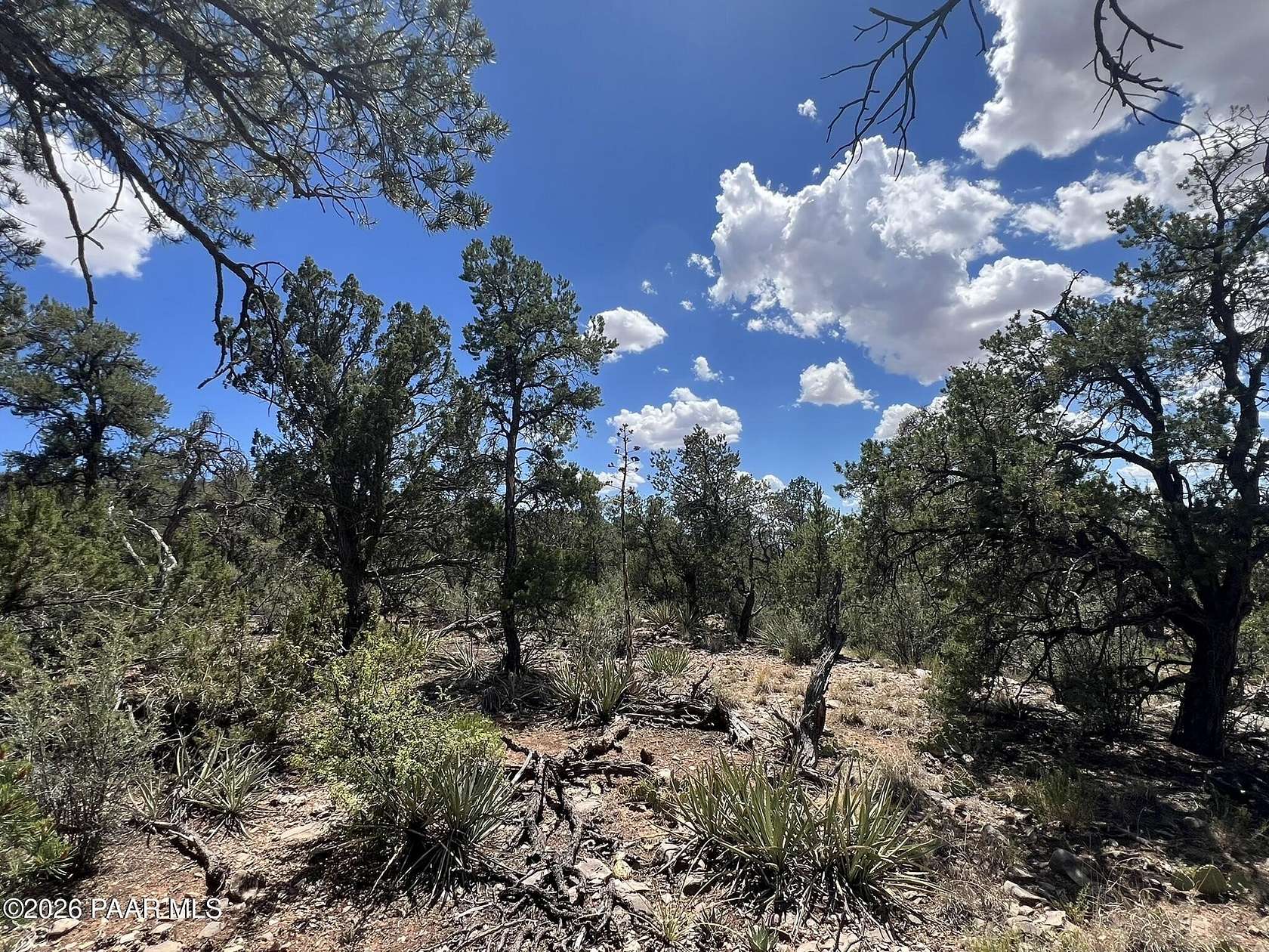 40 Acres of Recreational Land for Sale in Ash Fork, Arizona