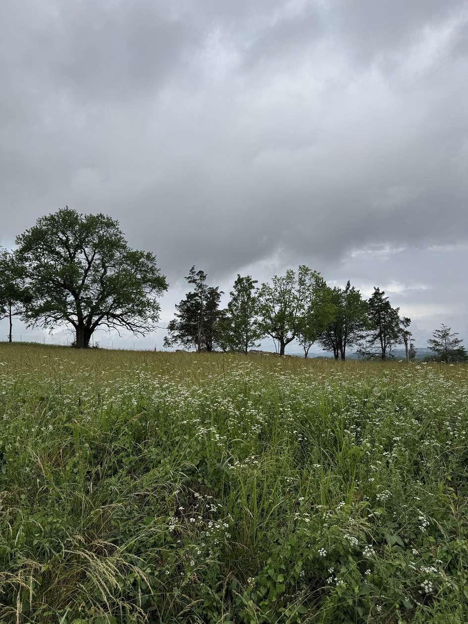 0.23 Acres of Residential Land for Sale in Nashville, Tennessee