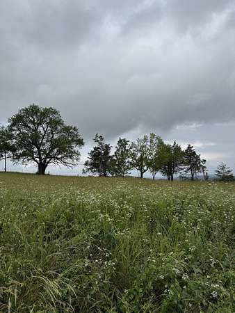 0.23 Acres of Residential Land for Sale in Nashville, Tennessee