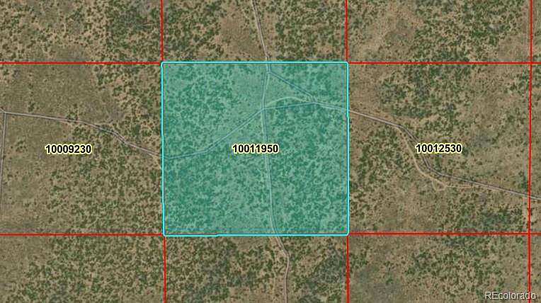 40 Acres of Land for Sale in San Luis, Colorado