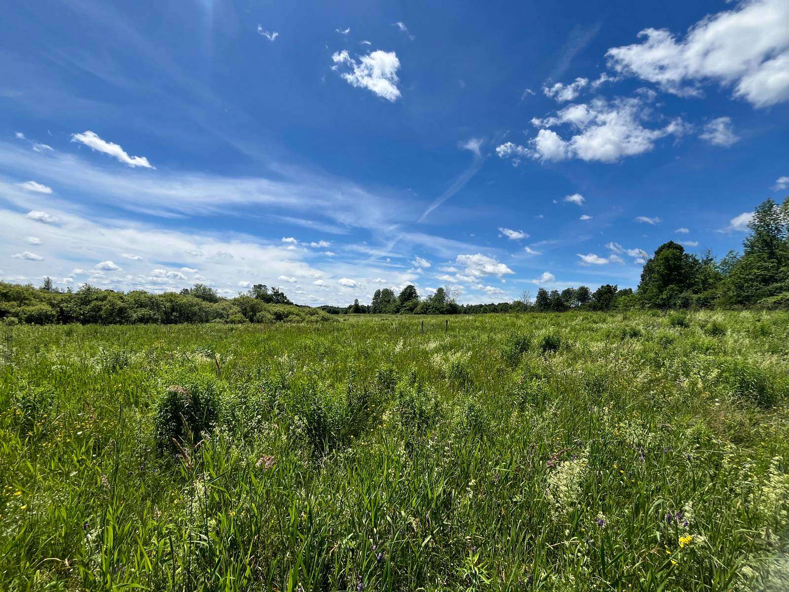 8 Acres of Residential Land for Sale in Canton, New York