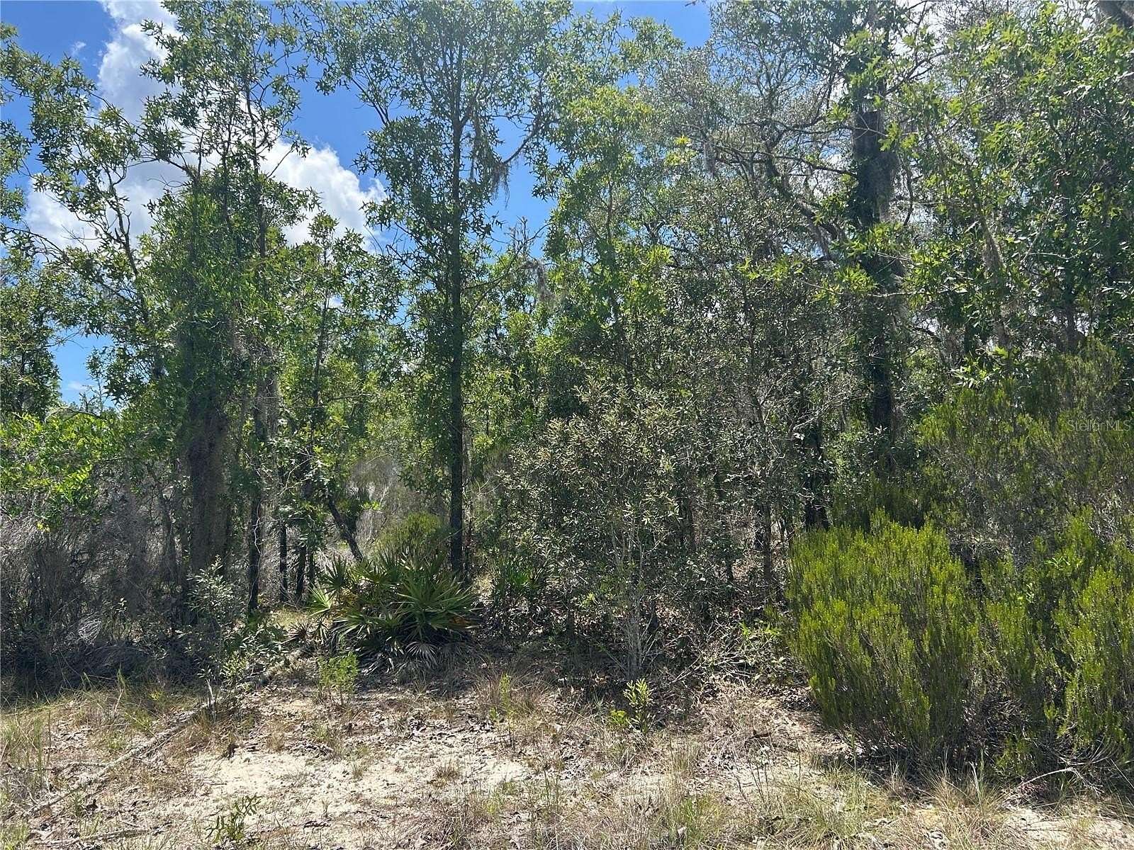 1.48 Acres of Residential Land for Sale in Archer, Florida