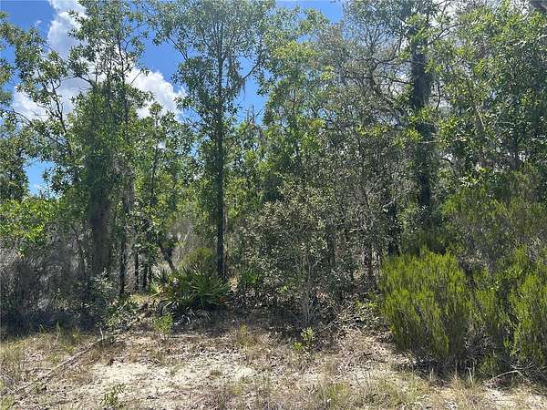 1.48 Acres of Residential Land for Sale in Archer, Florida
