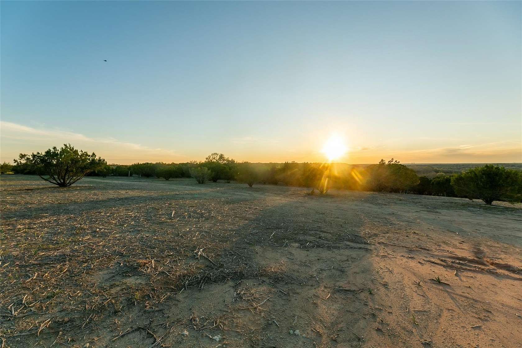 1 Acre of Residential Land for Sale in Nemo, Texas