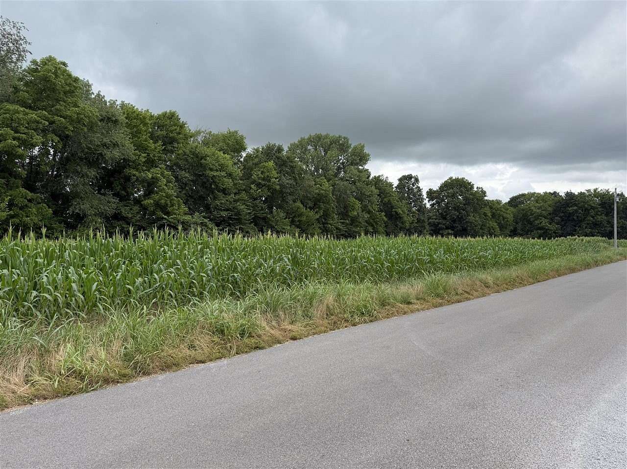 6 Acres of Land for Sale in Franklin, Kentucky