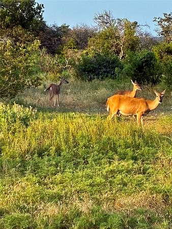 16 Acres of Land with Home for Sale in Goldthwaite, Texas