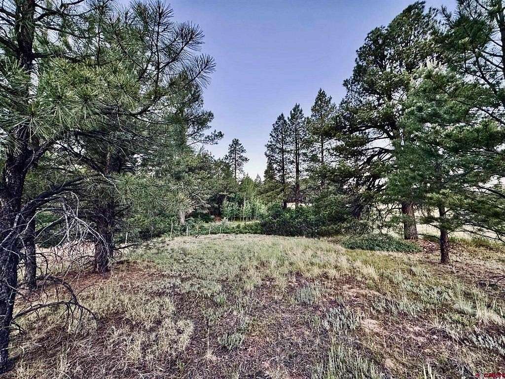 3 Acres of Residential Land for Sale in Pagosa Springs, Colorado