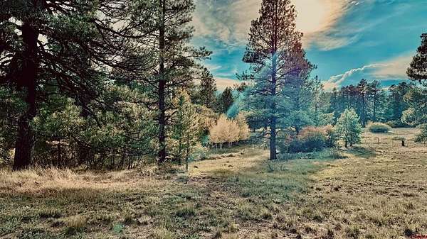3 Acres of Residential Land for Sale in Pagosa Springs, Colorado