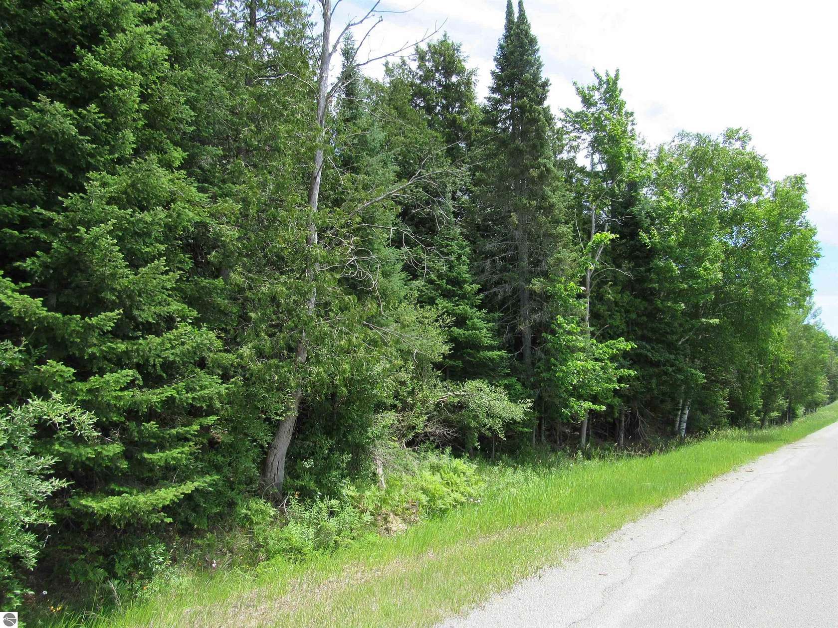 120 Acres of Recreational & Residential Land for Sale in Harrisville, Michigan