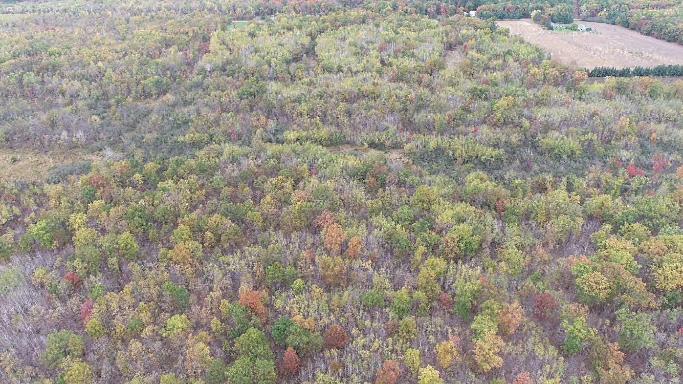 80 Acres of Land for Sale in Cadott, Wisconsin