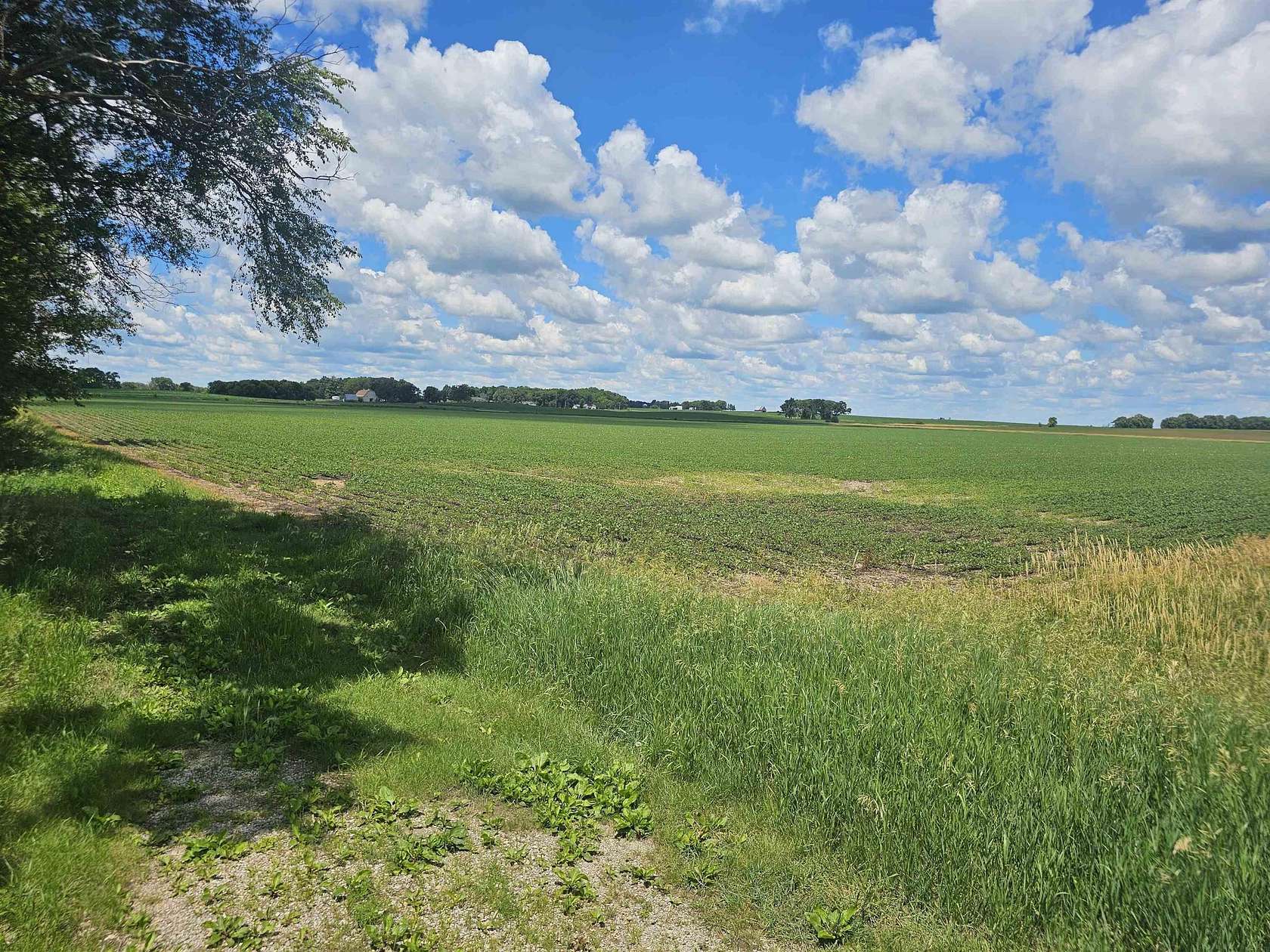 57.2 Acres of Land for Sale in Ackley, Iowa