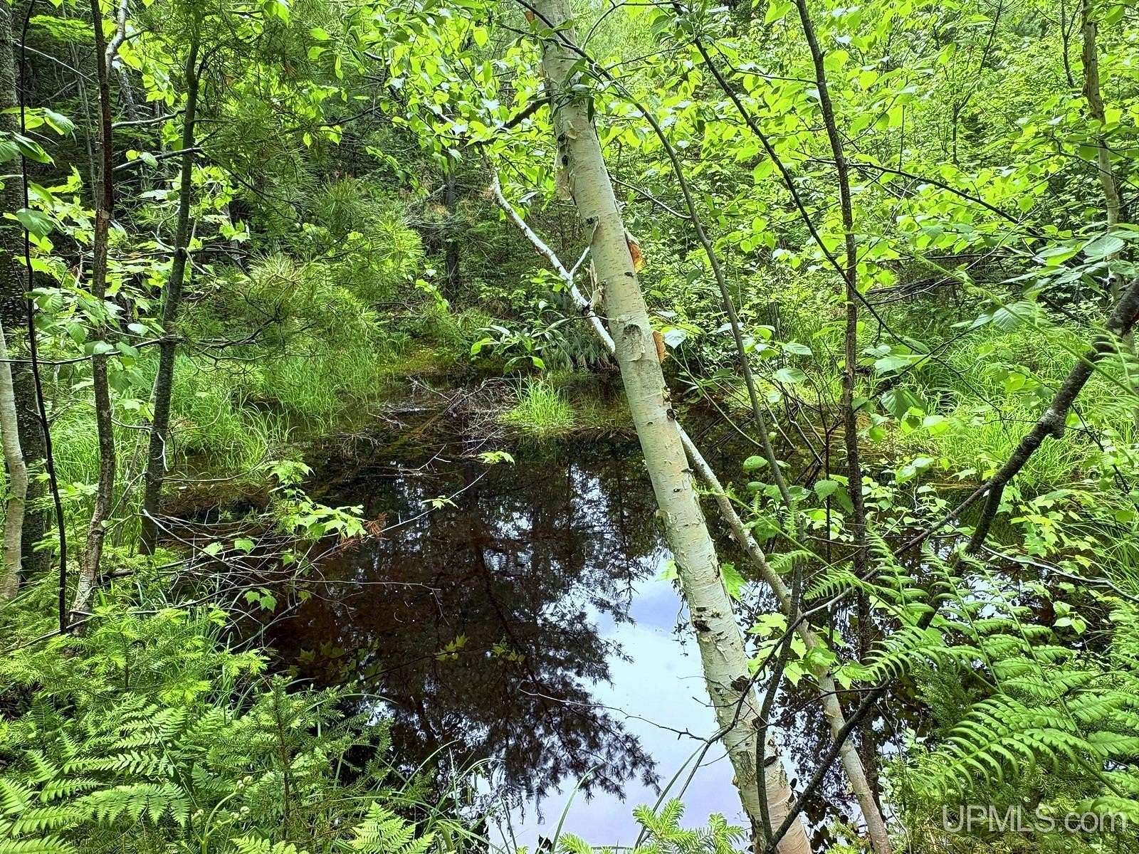116 Acres of Recreational Land for Sale in Gwinn, Michigan