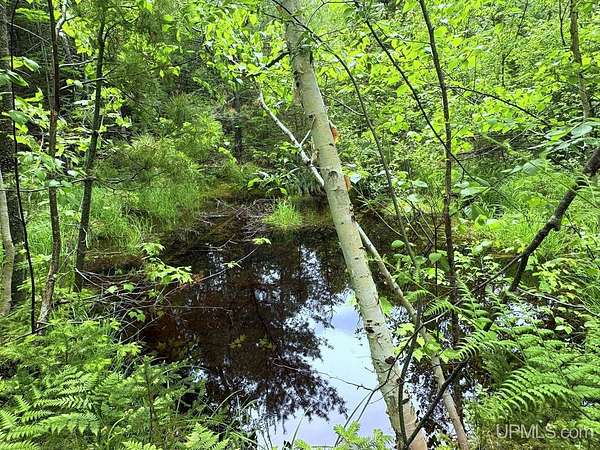 116 Acres of Recreational Land for Sale in Gwinn, Michigan