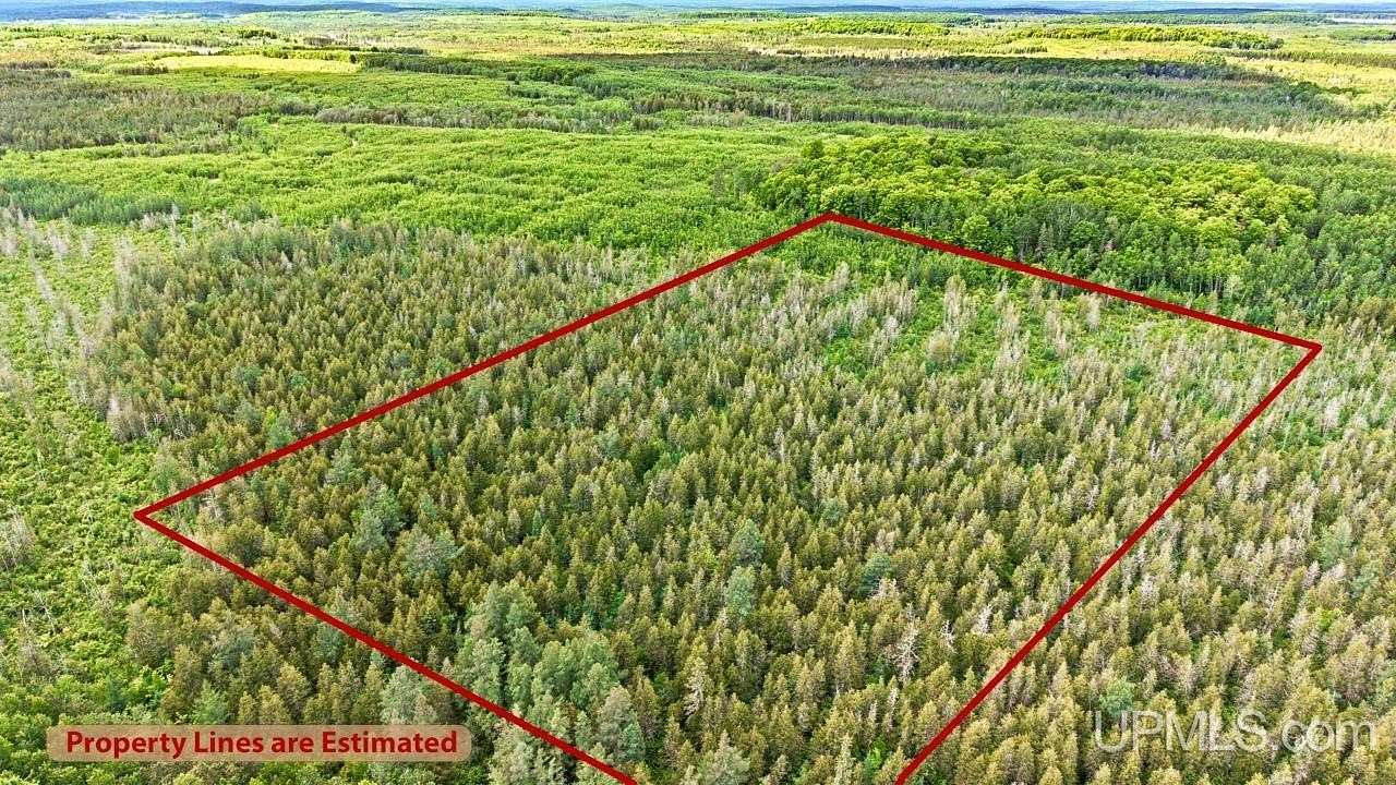 40 Acres of Recreational & Residential Land for Sale in Arnold, Michigan