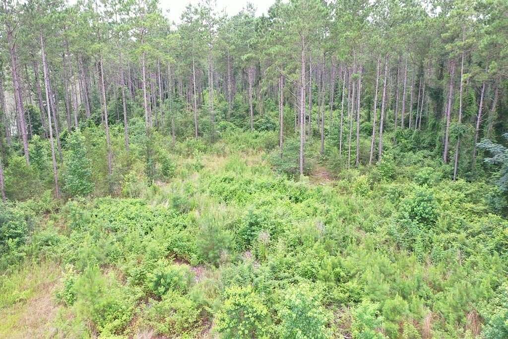 32.8 Acres of Land for Sale in Laurel, Mississippi
