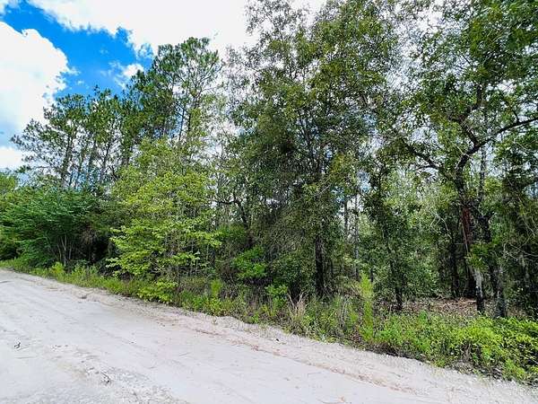 1 Acre of Residential Land for Sale in Bell, Florida