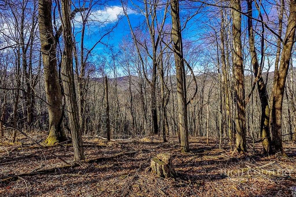 10.6 Acres of Land for Sale in Banner Elk, North Carolina