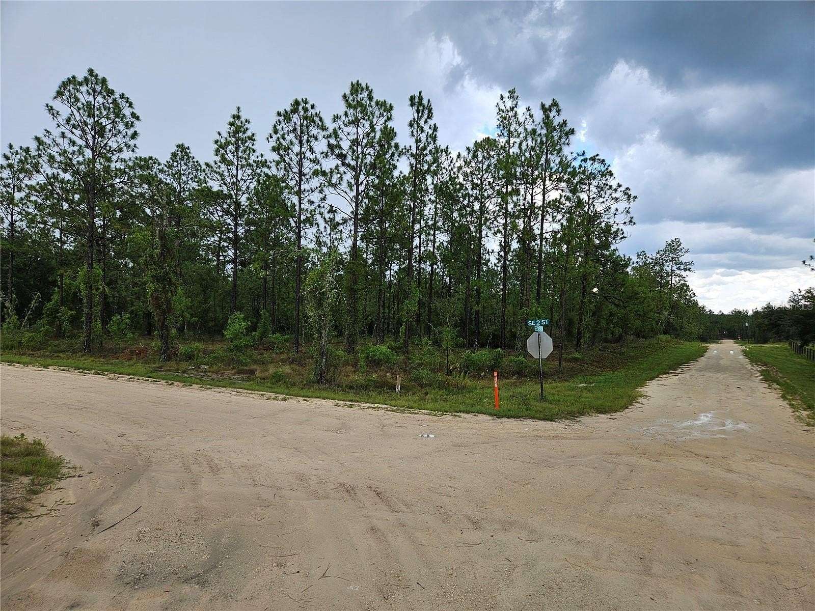 2.5 Acres of Residential Land for Sale in Williston, Florida