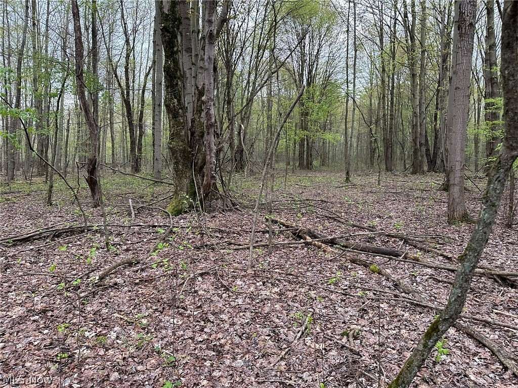 47.3 Acres of Recreational Land for Sale in Kingsville, Ohio