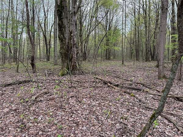 47.3 Acres of Recreational Land for Sale in Kingsville, Ohio