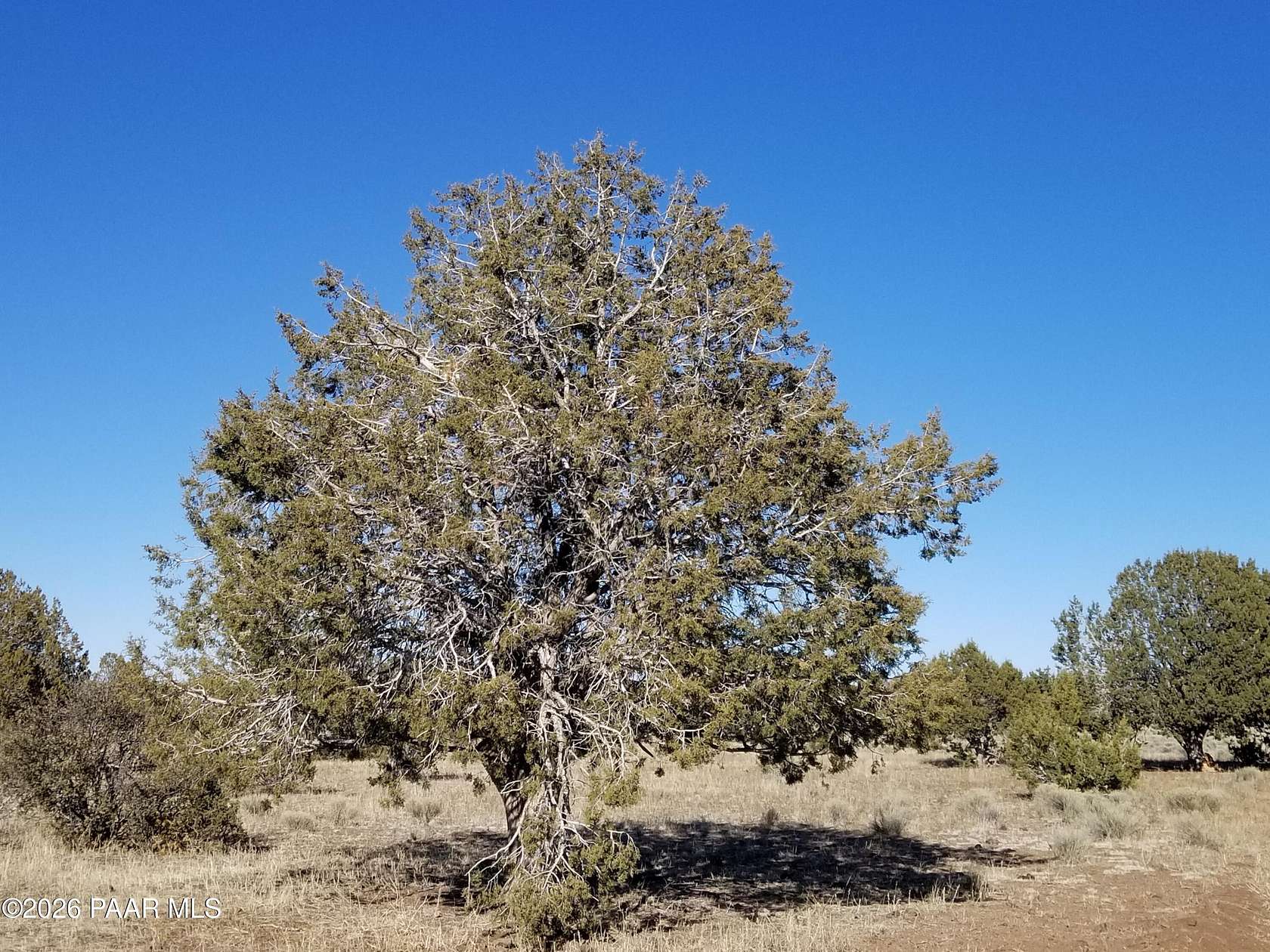 10.1 Acres of Land for Sale in Ash Fork, Arizona