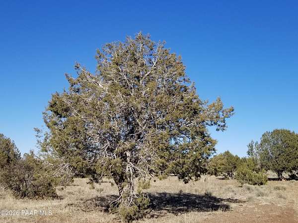 10.1 Acres of Land for Sale in Ash Fork, Arizona
