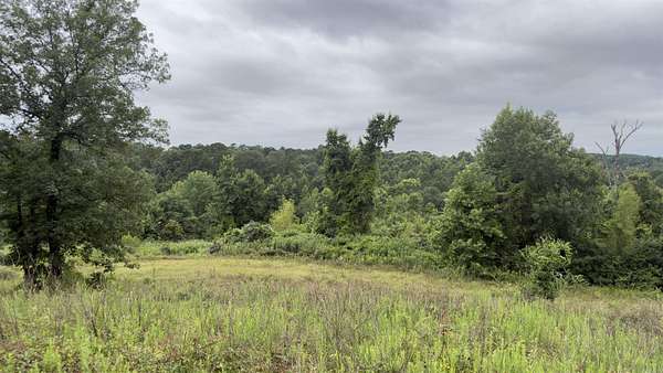 80 Acres of Recreational & Residential Land for Sale in De Queen, Arkansas