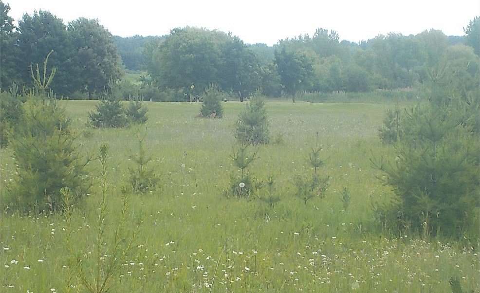 1.43 Acres of Land for Sale in Sturgeon Bay, Wisconsin
