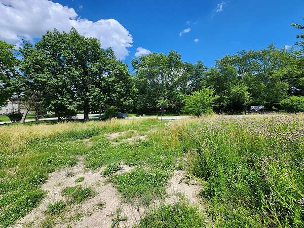 0.81 Acres of Residential Land for Sale in Crete, Illinois