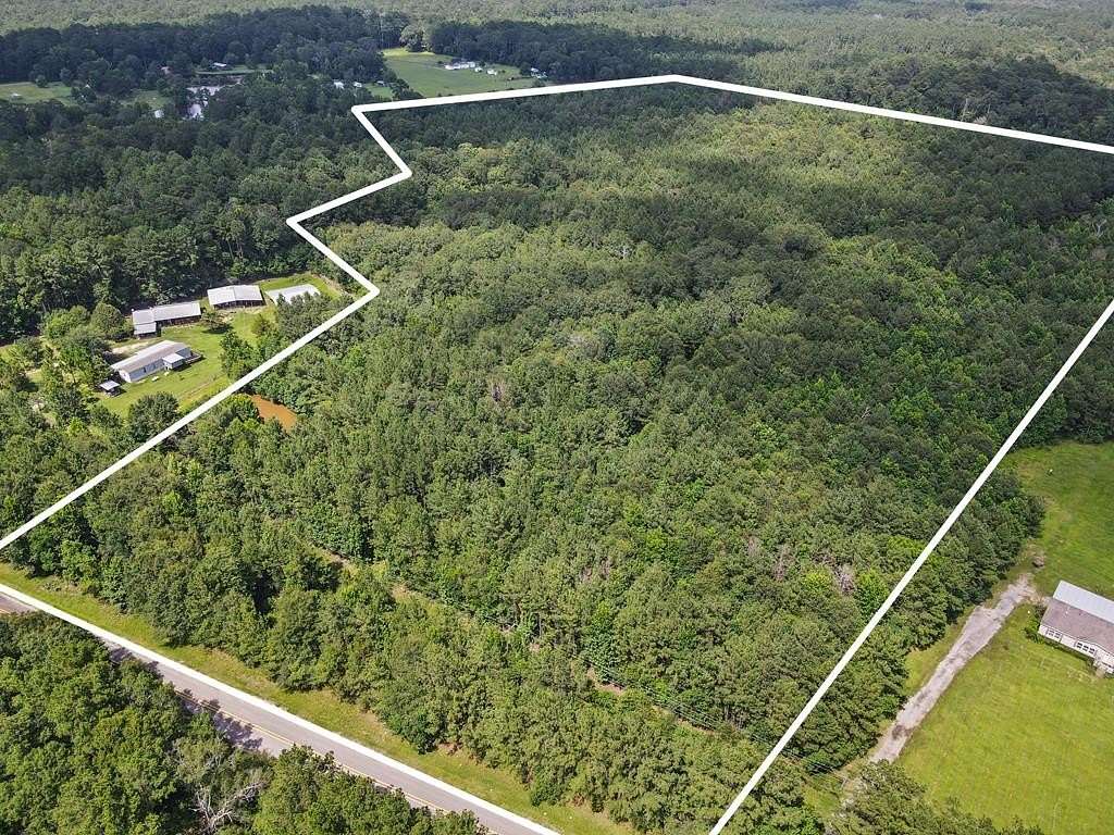36 Acres of Recreational & Residential Land for Sale in Woodville, Texas