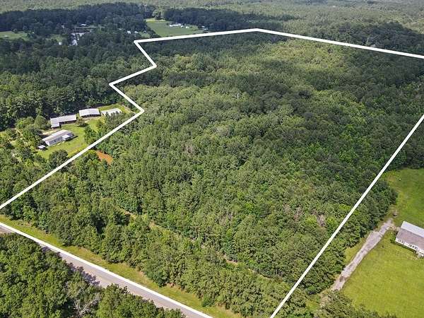 36 Acres of Recreational & Residential Land for Sale in Woodville, Texas