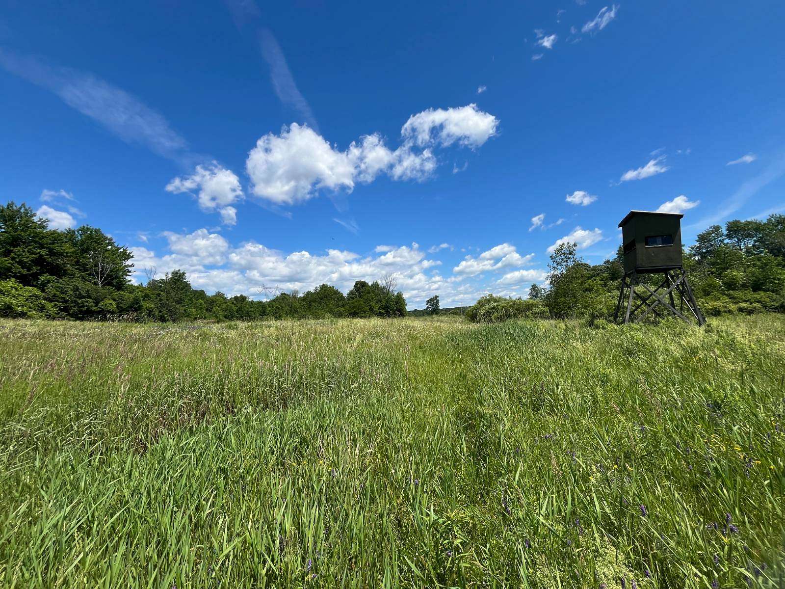 13 Acres of Land for Sale in Canton, New York