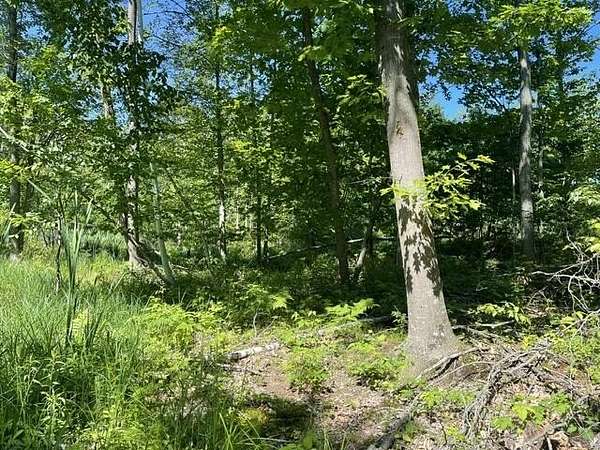 39.7 Acres of Recreational Land for Sale in Gillett, Wisconsin
