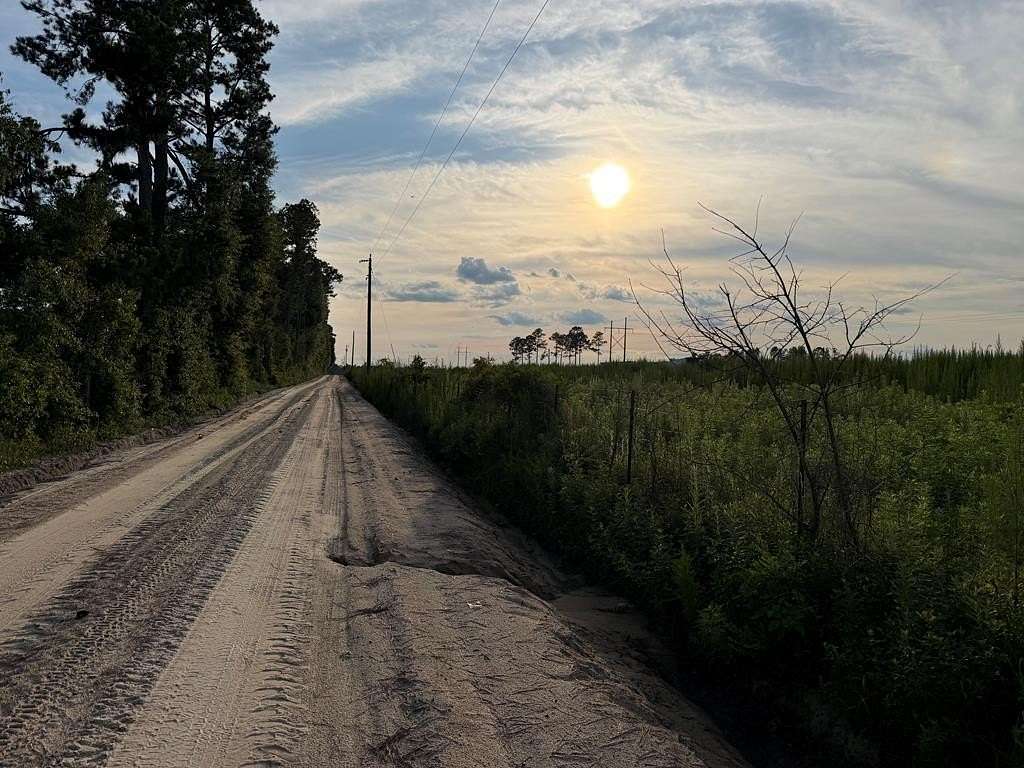 5 Acres of Residential Land for Sale in Lakeland, Georgia