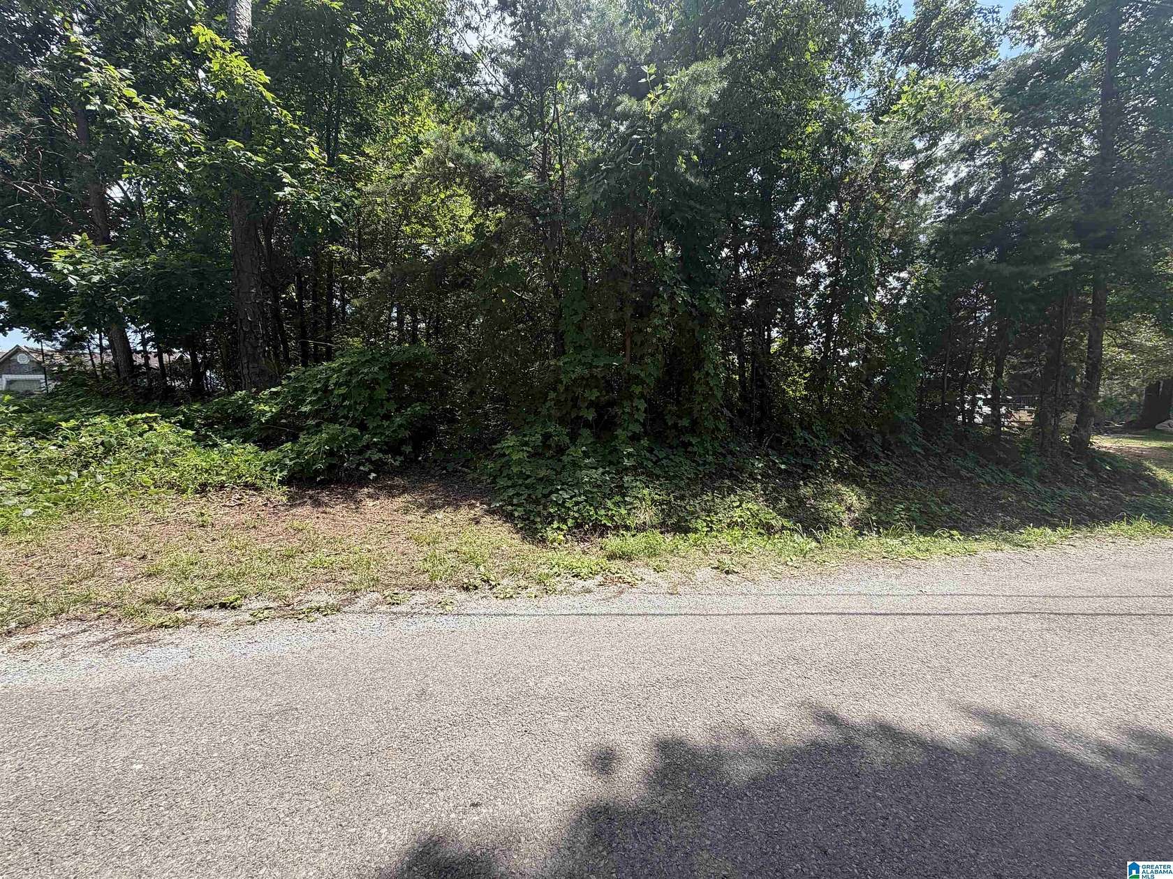 0.74 Acres of Land for Sale in Oneonta, Alabama