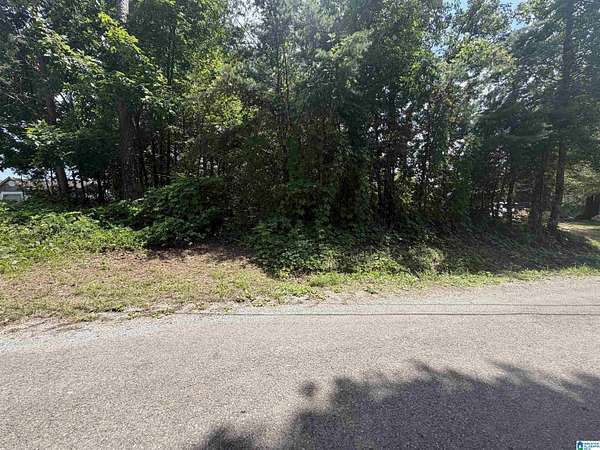 0.74 Acres of Land for Sale in Oneonta, Alabama