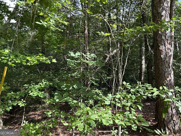3.68 Acres of Land for Sale in Wedowee, Alabama